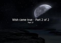 Seline Discombobulate -  Part 17 - Wish came true 2 of 2