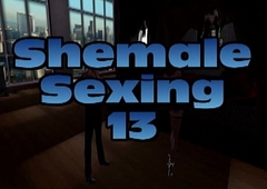 Shemale Sexing 13